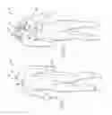 Fig. 02 - Wetsuit