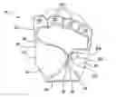 Fig. 01 - Workout glove