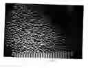 Fig. 01 - Textured surface coating for gloves and method of making
