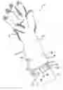 Fig. 01 - Moisture proof glove with a protective cuff