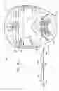Fig. 19 - FACE PROTECTOR AND METHOD OF USE