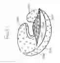 Fig. 19 - Support pillow and cover with mat and methods for using