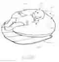 Fig. 32 - Support pillow and cover with mat and methods for using