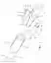 Fig. 02 - Sheath type hinge