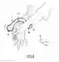 Fig. 10 - Hygienic, turning control element which is used to actuate a mechanism, such as a door opener