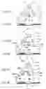 Fig. 03 - Head suspension, load beam, and method of manufacturing load beam