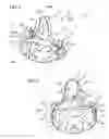Fig. 02 - Device for retaining a boot on a snowshoe