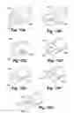 Fig. 11 - Engineered structural members and methods for constructing same