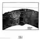 Fig. 03 - Process for manufacturing powder-filled welded tubes, such as flux-cored welding wires