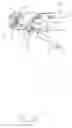 Fig. 09 - Link for crimping tool