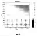 Fig. 08 - Nanoindentation surface analysis tool and method
