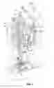 Fig. 02 - Thread control device employing a thread brush, for a sewing machine