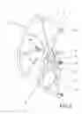 Fig. 03 - Folding tiller for boats