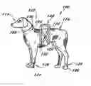 Fig. 01 - Canine apparel