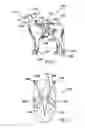 Fig. 02 - Canine apparel