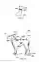 Fig. 03 - Canine apparel
