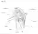Fig. 22 - Compound bow