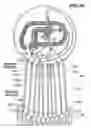 Fig. 10 - Method for determining a fluid flow in a passageway of a medical device using pressure measurement