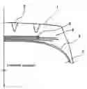 Fig. 01 - Pneumatic tire and manufacturing method of the same
