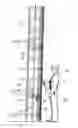 Fig. 05 - LADDER SAFETY APPARATUS