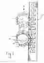 Fig. 07 - Self-elevating platform scaffolding