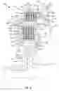 Fig. 07 - Dual clutch pack dual operating clutch and method for adjusting same