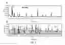 Fig. 04 - DETECTION METHODS AND DEVICES