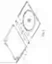 Fig. 03 - Optical disc accommodating case