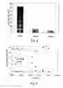 Fig. 07 - System and method for treating carbon, nitrogen, phosphorous containing wastewater