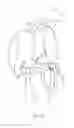 Fig. 13 - ERGONOMIC FLUID DISPENSER