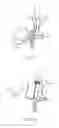 Fig. 23 - ERGONOMIC FLUID DISPENSER