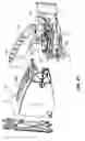 Fig. 18 - Metering and dispensing closure