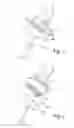 Fig. 02 - Dosing Dummy
