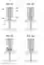 Fig. 06 - Electro-magneto fuel injector