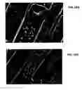Fig. 43 - Ion sources, systems and methods