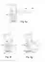 Fig. 06 - Charged particle beam device