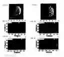 Fig. 04 - Systems and methods for detecting normal levels of bacteria in water using a multiple angle light scattering (MALS) instrument
