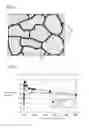 Fig. 02 - Soft magnetic material and powder magnetic core