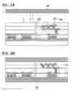 Fig. 09 - Semiconductor device and manufacturing method thereof