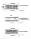 Fig. 05 - Light active sheet material
