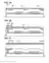 Fig. 10 - Light emitting device