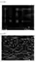 Fig. 07 - Photoelectric conversion device and solid-state imaging device