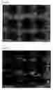 Fig. 09 - Photoelectric conversion device and solid-state imaging device