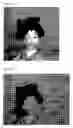 Fig. 17 - Photoelectric conversion device and solid-state imaging device