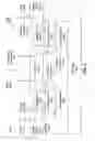Fig. 07 - Single-chip and multi-chip module for proximity communication