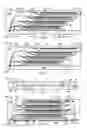 Fig. 03 - Integrated circuit package system with bonding lands
