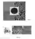 Fig. 05 - Nanowire array and nanowire solar cells and methods for forming the same