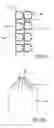 Fig. 19 - Reactor with packing mean