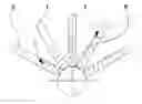 Fig. 01 - Pipe support system