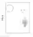 Fig. 06 - Thermoformable sheet, method for making a 3D article, and the article made therefrom